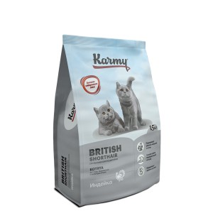 British Shorthair Kitten Индейка 1,5кг